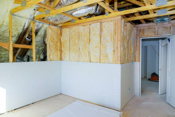 Best Insulation Maintenance and Repair in Wapakoneta, OH