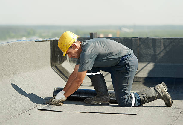 Best Residential Insulation in Wapakoneta, OH