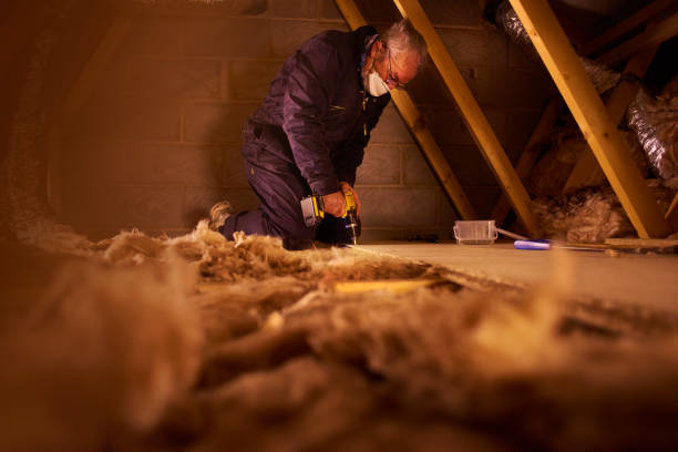 Best Fiberglass Insulation in Wapakoneta, OH