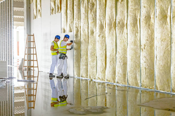 Best Geographic-Specific Insulation Services in Wapakoneta, OH